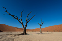 namibia 2014